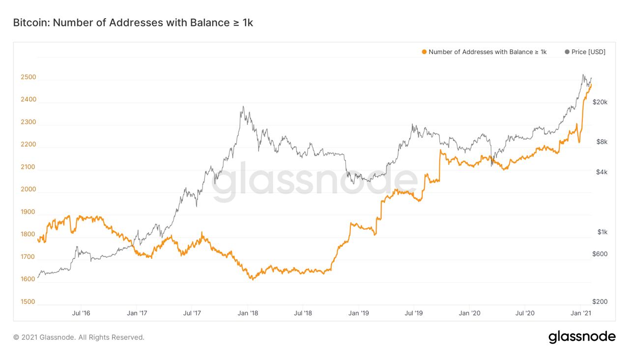 Market Research Report: Bitcoin and Ethereum Hit An All Time High, Altcoins Explode - BTC 1k addresses