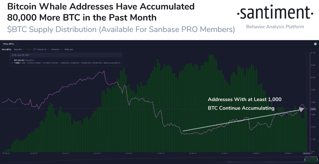 Market Research Report: Crypto Slow Despite El Salvador News But Stocks Rise Even With High Inflation - image5 1024x527